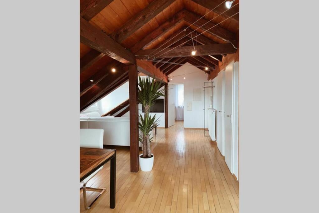 *Dreilaendereck* Wifi+ Balkon+Garage Basel Mulhouse Leilighet Maulburg Eksteriør bilde
