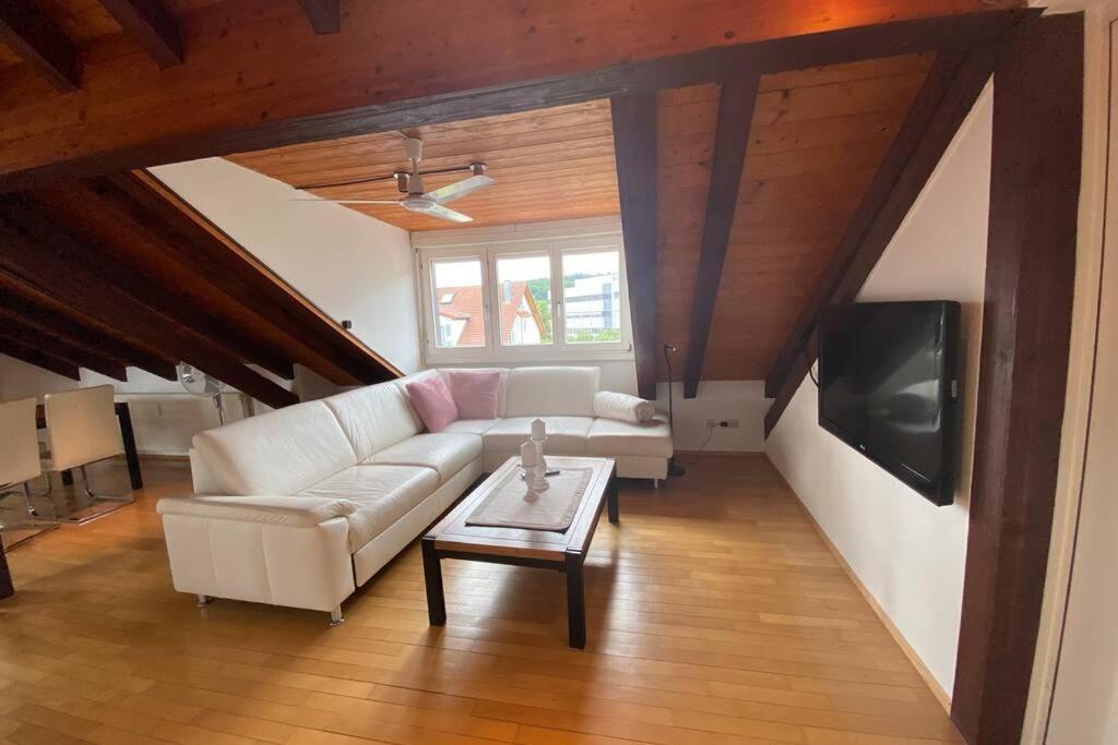 *Dreilaendereck* Wifi+ Balkon+Garage Basel Mulhouse Leilighet Maulburg Eksteriør bilde